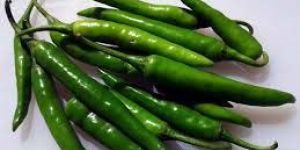 Fresh Green Chilli