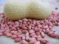 Bold Groundnut Kernels