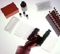 Synbiotic Elisa Kits