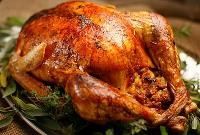 Turkey Meat