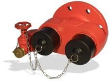 2 Way Fire Brigade Inlet Valve