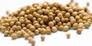 Coriander Seeds