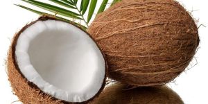 Fresh Coconut