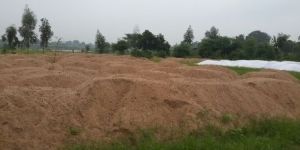 Natural River Sand