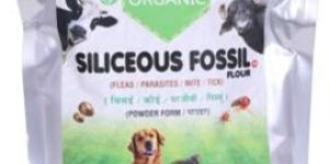 Silicious Fossil (Organic Pest Control)