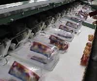 Semi Automatic Bagging System