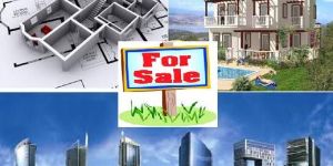 Property Dealer Services