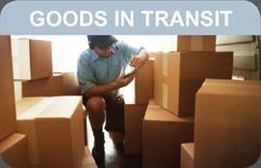 Transit Insurance