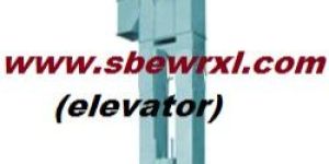 Rice Mill Bucket Elevator