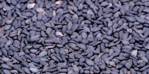 Black Sesame Seeds