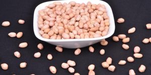 Groundnut Kernel