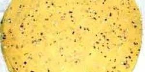 Moong Dal Special Papad