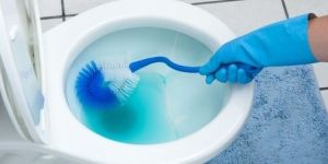 Liquid Toilet Cleaner