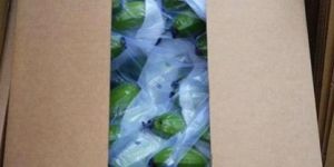 Agro Product Packaging Service
