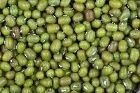 Green Gram Seeds