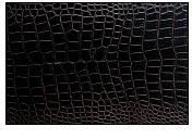 Buffalo Split Crocodile Print