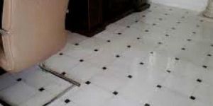 Marble Floor Tiles
