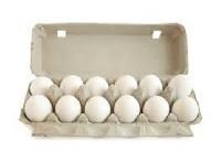 Egg Carton
