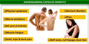 Ashwagandha Extract Capsules