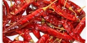 Red Chili Whole