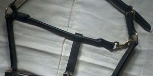 Horse Leather Halters