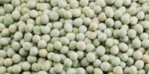 Green Peas