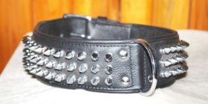 Dog Collars