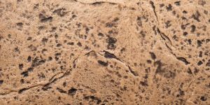 Decorative Stamp Concrete