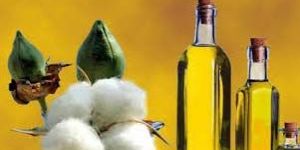 Cottonseed Oil