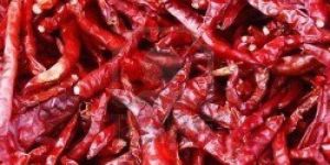 Dried Red Chilli