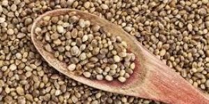 Sesame Seeds