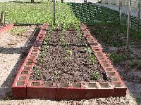 cow dung & plant food