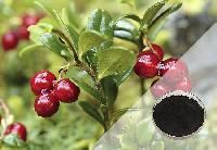 Natural Herbal Extract