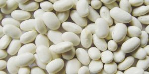 White Kidney Beans