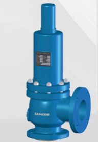 Safety Relief Valves