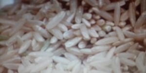 Brown Raw Basmati Rice
