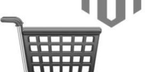 Magento Development Service