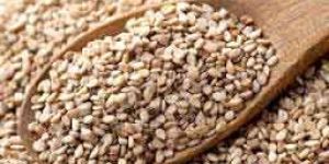 Sesame Seeds