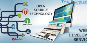 Web Development Services