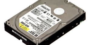 Computer Hard Disk