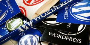 Wordpress Website Development Services