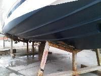 Fevicol Antifouling Paints