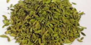 Fennel Seeds