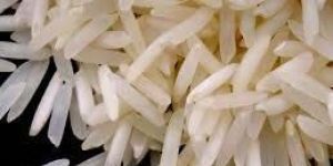 Pusa 1121 Steam Rice