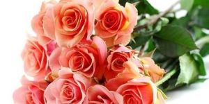 Online Flower Delivery Service