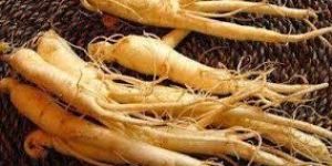 Panax Ginseng Extracts