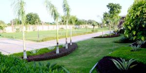 Artificial Grass Carpet Installation