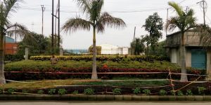 Landscaping Services