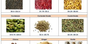 Indian Spices