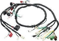 Automobile Wire Harness